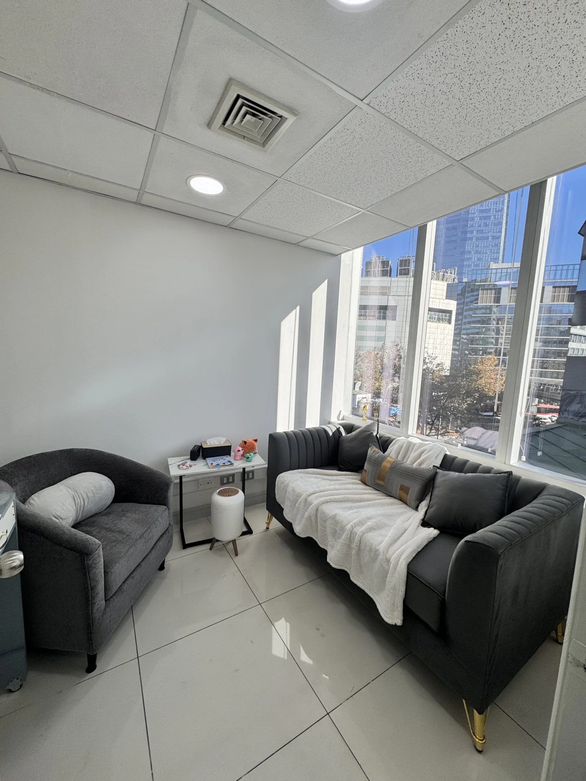 Sala de atencion presencial de Centro Entre-Mentes en Providencia, con sillon y luz natural
